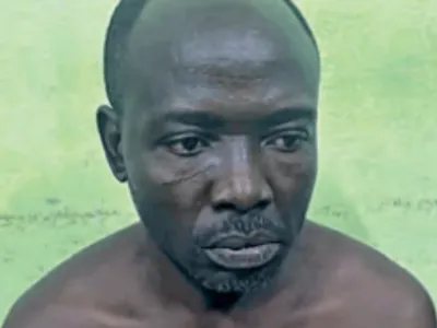 Le Camerounais auteur des injures envers le chef de l’Etat a été arrêté par la DGR. © DR