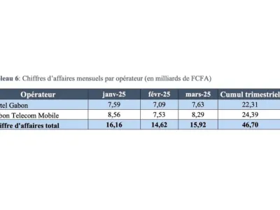 Tableau récapitulatif des CA mensuels des deux opérateurs, attestant leur bonne santé financière