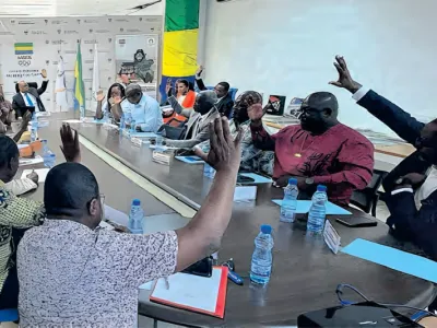 Comité national olympique du Gabon