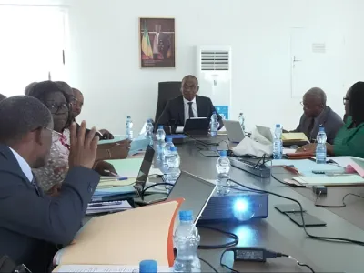 Un instantané du conseil d’administration de l’Instat-Gabon.