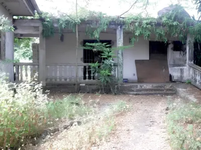 Entrepôt clandestin de contrefaçon d'huile