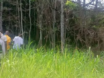 Forêt Ipira à Mabanda