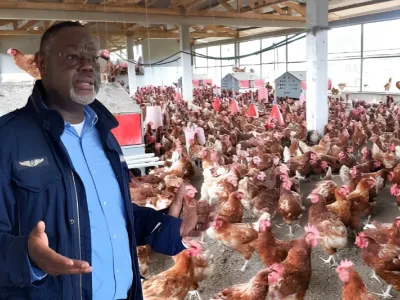 Hervé Patrick Opiangah, PDG de la SOGADA