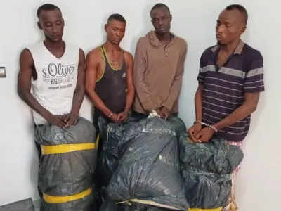 Présumés trafiquants de chanvre indien à Léconi