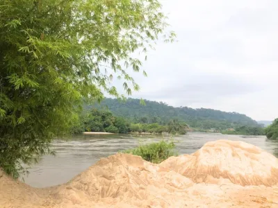 Une rive de l'ogooué