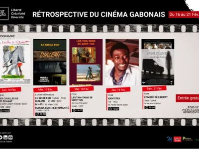 Site internet de l'institut français du Gabon