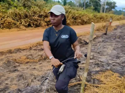 Conflit homme éléphant : des clôtures électriques mobiles pour protéger les cultures