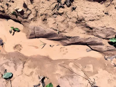 Quelques traces laissées par la panthère