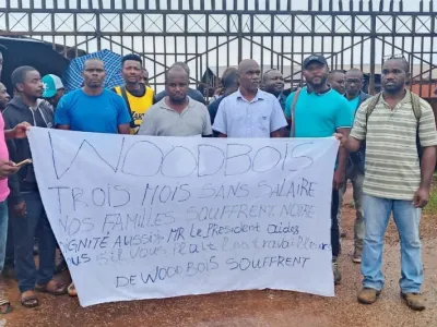 Employés de woodbois