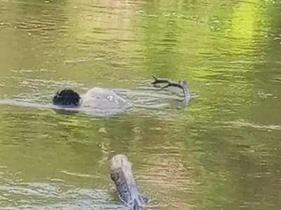 Le corps de Yarel a été retrouvé le lendemain de la noyade flottant sur les eaux de la Sébé