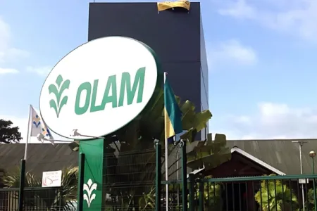 olam palm gabon. © DR 