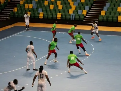 Les Panthères renversées par les Lions Indomptables