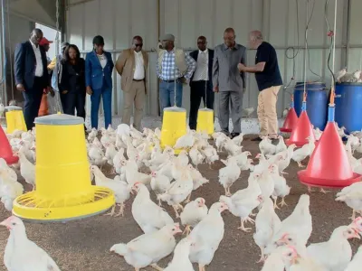 Agriculture : penser absolument aux opérateurs nationaux