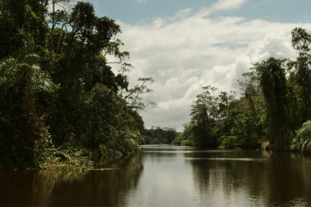 Parc national de la Loango © DR