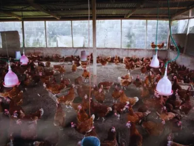 La construction de six fermes intégrées va débuter avant la prochaine saison des pluies. © DR/ L’Union