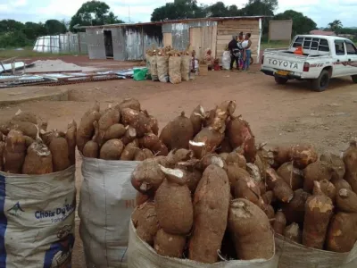 Les vendeuses de tubercules de manioc de Bitam peinent à s’en sortir face aux taxes.