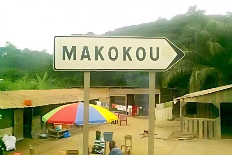 Makokou : un sexagénaire meurt coincé sous un arbre