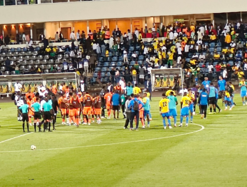 Panthères du Gabon