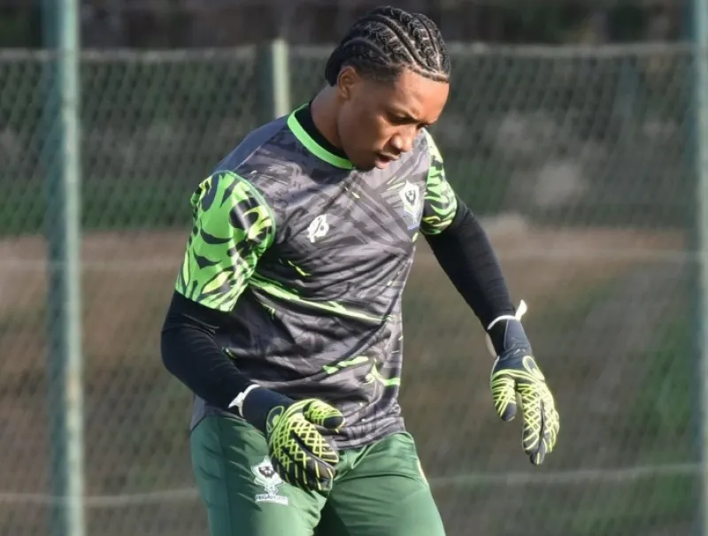 Anse Jörgen Ngoubi, footballeur international gabonais