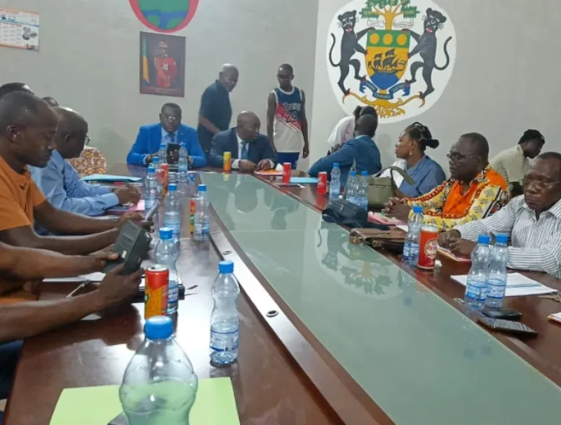 Conseillers départementaux de l'Offoué-Onoye