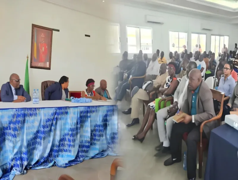 Consultations publiques, projet Gabon bleu