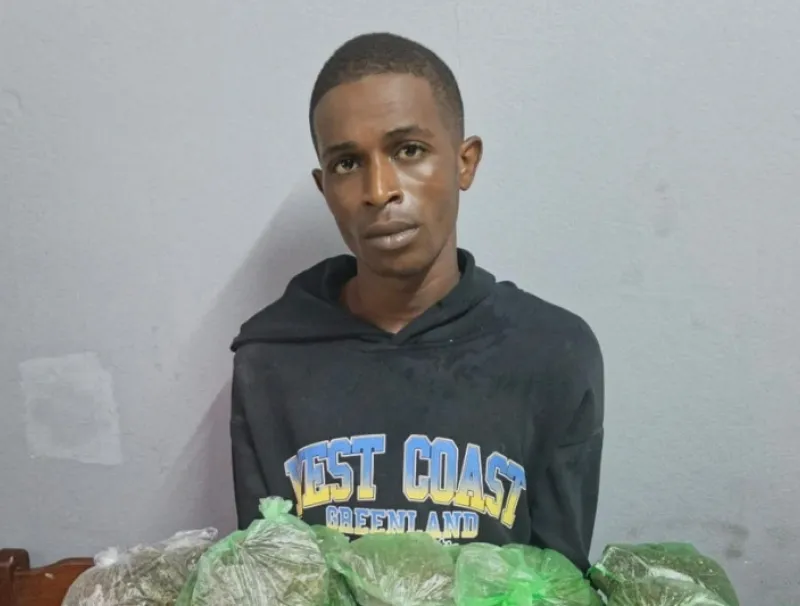 Darly Dessing Djediet, jeune dealer