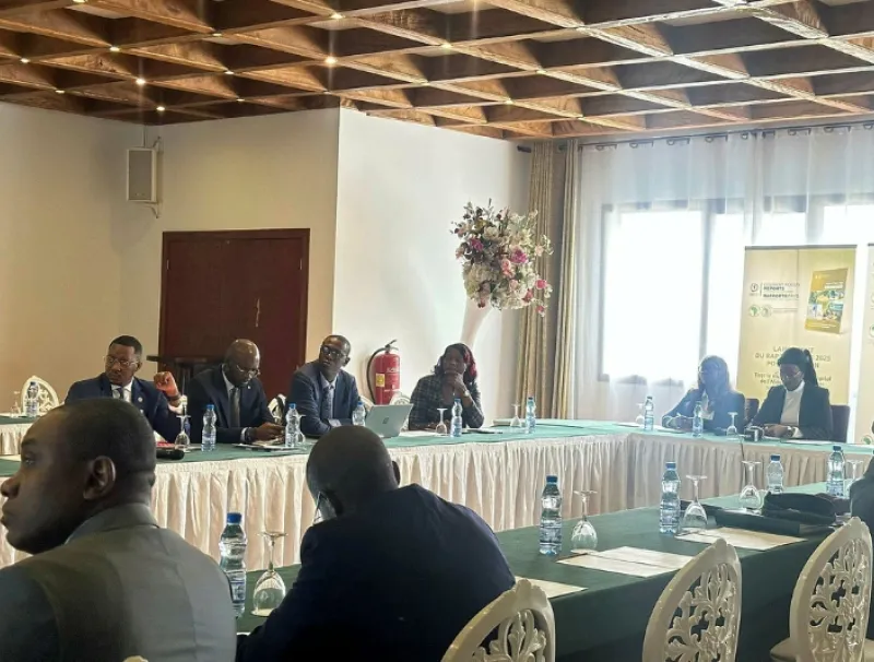 Cet atelier doit permettre aux experts de définir la feuille de route du pays. © DR