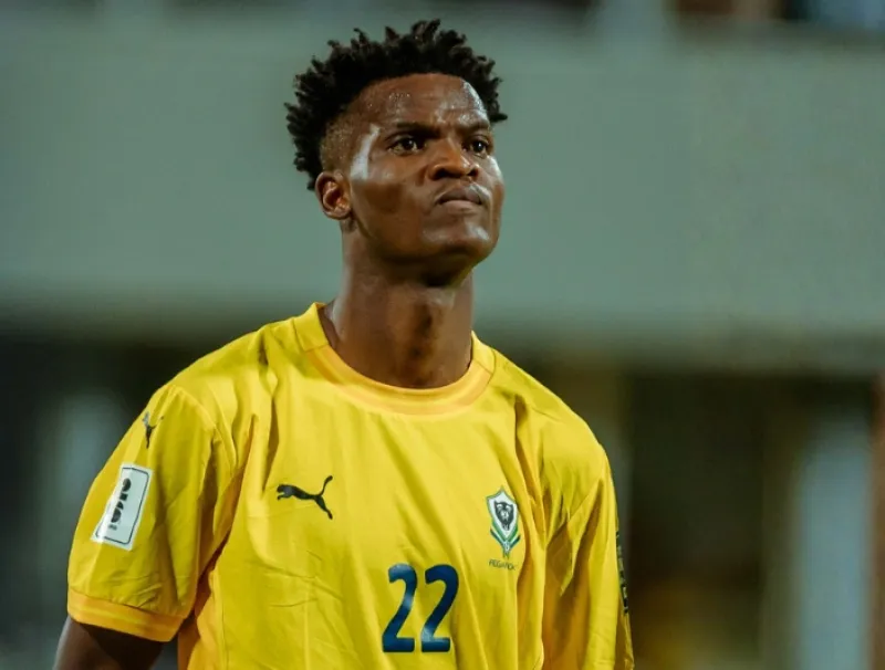 Didier Ndong, le chaînon qui manquait