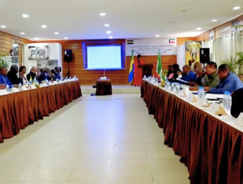 Différend frontalier : vers la signature d’un accord entre Libreville et Malabo