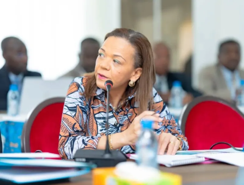 Pr Nkana Ayo-Bivigou, ministre de la santé