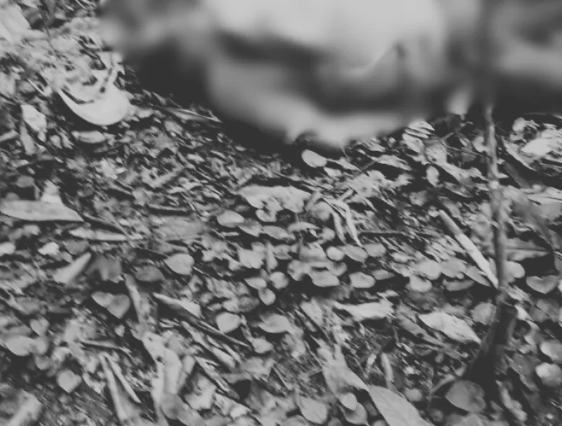 Éric Ndamana, retrouvé mort dans la forêt à Akiéni