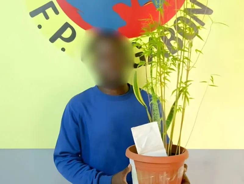 Josué Neville Bourébé, pris en possession de cannabis