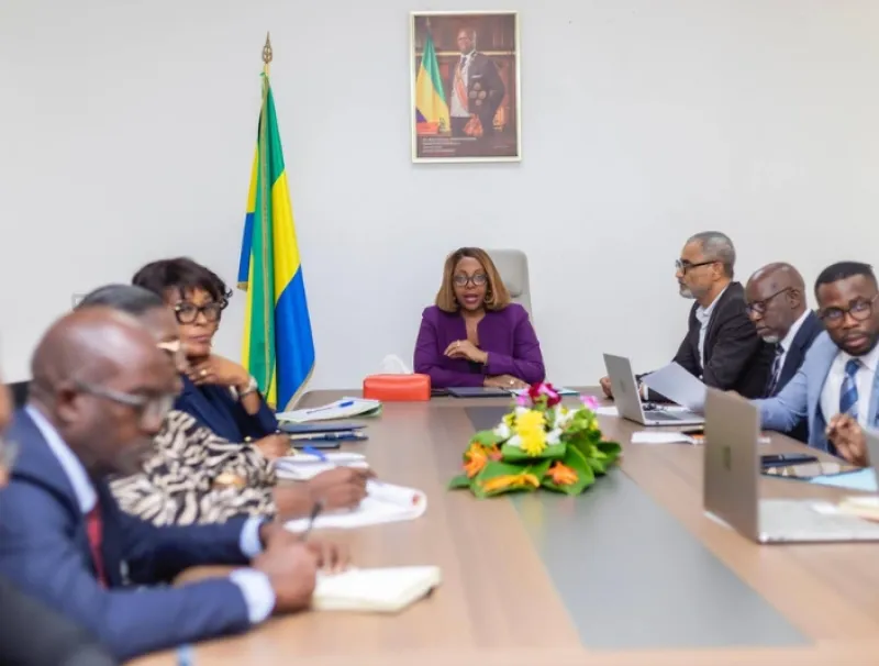 Laurence Ndong, ministre de la fonction publique lors de la réunion sur le financement des formations