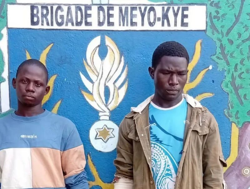 Michaël Netoglem et  Salihou Moustapha, clandestins arrêtés à Meyo-kye