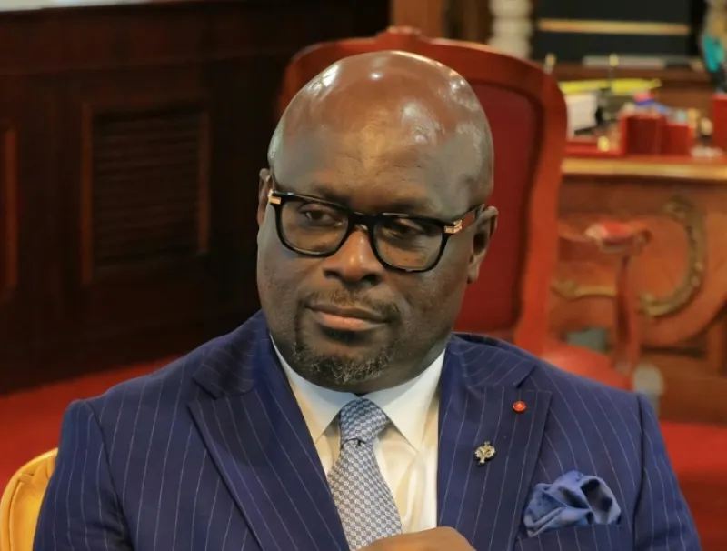 Michel Régis Onanga Ndiaye, président de l'Assemblée nationale