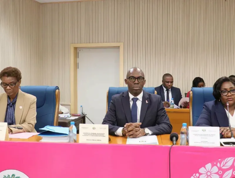 Les ministres de la Planification (G) et du Budget (D), lors de leur audition à l’Assemblée nationale.