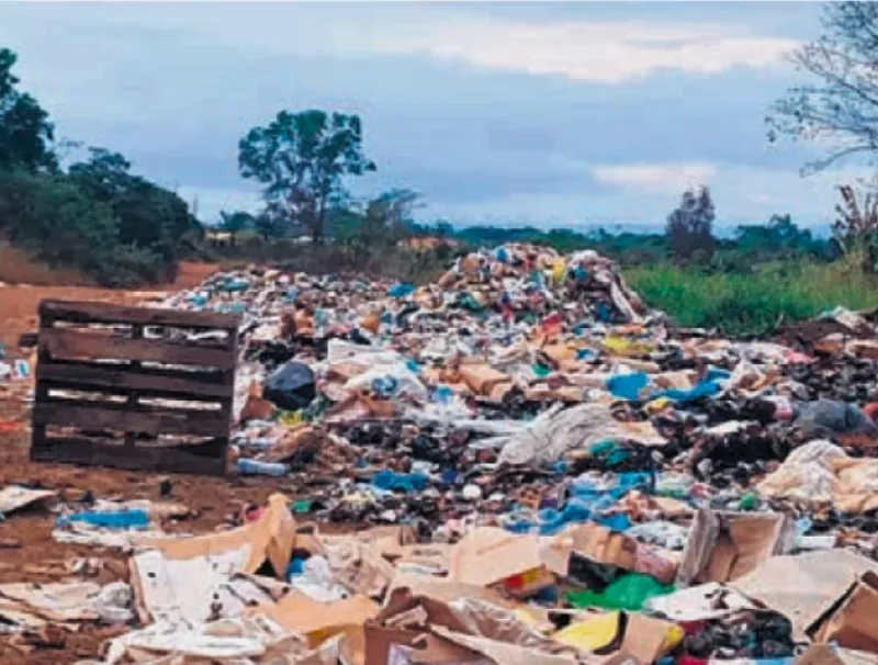 Une dangereuse cohabitation au 2e arrondissement de Mouila.