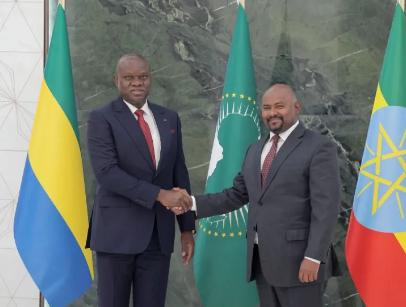 Brice Clotaire Oligui Nguema, président du Gabon