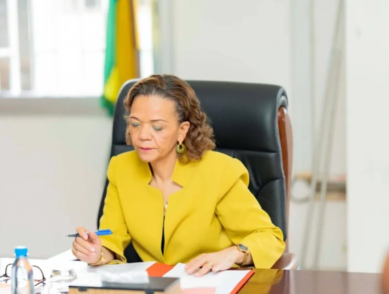 Pr Elsa Nkana Joséphine Ayo-Bivougou, ministre de la santé 