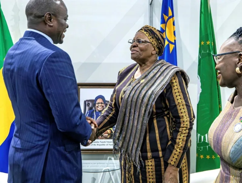Une phase de l’entretien entre Brice Clotaire Oligui Nguema et la présidente de la Namibie. © DR
