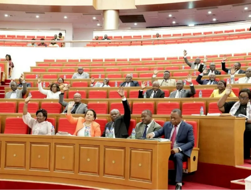 Les députés ont voté à main levée. © Sylvain MAGANGA