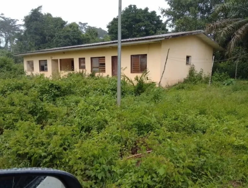 Le dispensaire d'Ichinga, à Lebamba, où les abeilles ont fait fuir le personnel.