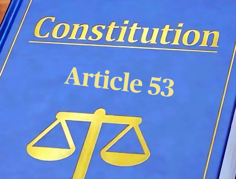 Projet de Constitution : cet article 53 tant querellé !