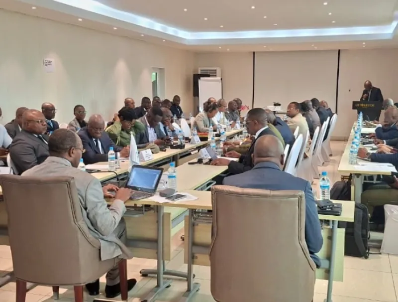 VIIIe session ordinaire du Comité technique spécialisé sur la défense, la sûreté et la sécurité (CTSDSS)