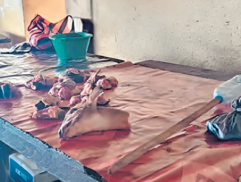 Une vue de ce qui reste d’un étal de viande de brousse sur le marché de Moanda