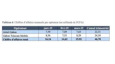 Tableau récapitulatif des CA mensuels des deux opérateurs, attestant leur bonne santé financière