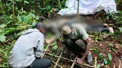 Chasseur tué par un éléphant