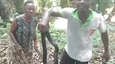 Cobra abattu à Koulamoutou