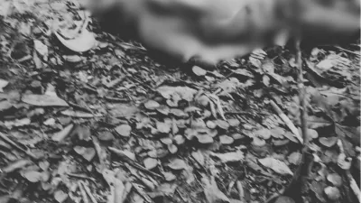 Éric Ndamana, retrouvé mort dans la forêt à Akiéni