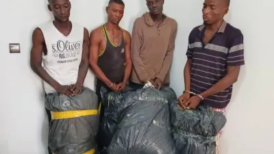 Présumés trafiquants de chanvre indien à Léconi